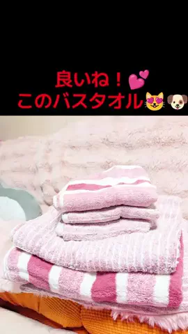 にゃんコロンちゃん♪のTikTok投稿