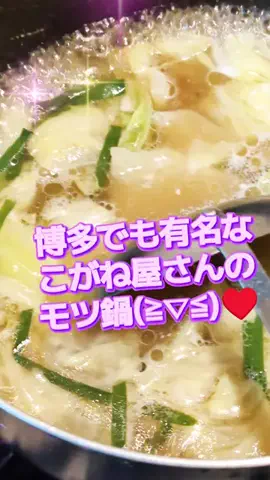 にゃんコロンちゃん♪のTikTok投稿