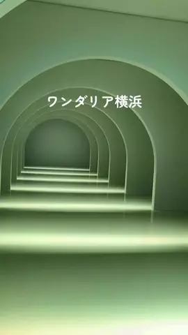 光るアートmyo.(LuminaMyo)サブのTikTok投稿