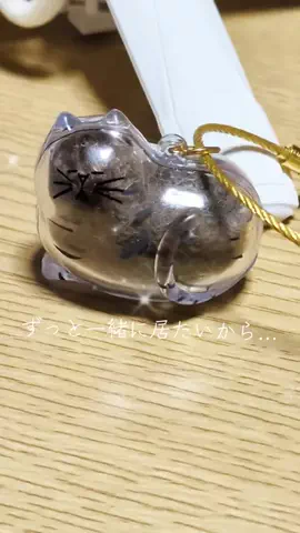 にゃんコロンちゃん♪のTikTok投稿