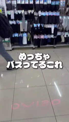 しいちゃまのTikTok投稿