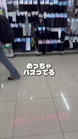 しいちゃまのTikTok投稿