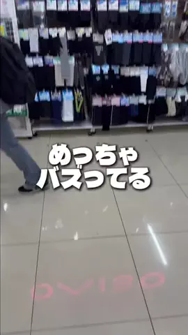 しいちゃまのTikTok投稿