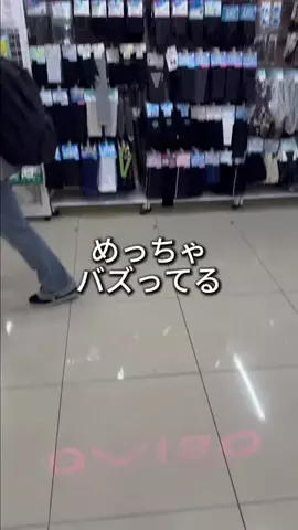 しいちゃまのTikTok投稿