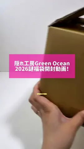 にゃんだ子🐥アヒルの人のTikTok投稿
