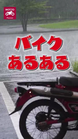 アズマリムのTikTok投稿