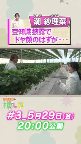 渡邉美穂の観光大使の推し事のTikTok投稿