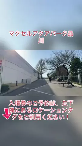 ザン　くんのTikTok投稿