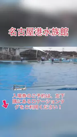 ザン　くんのTikTok投稿