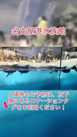 ザン　くんのTikTok投稿