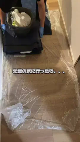 コーラちゃんの後輩のTikTok投稿