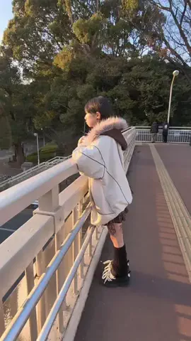ハマリュウのTikTok投稿