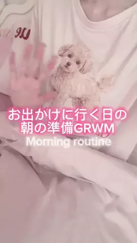 はーちゃんのTikTok投稿
