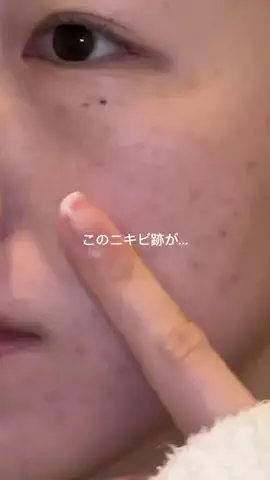 真っ白ちゃんのTikTok投稿