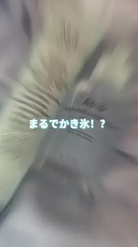 美容女子💭💫のTikTok投稿