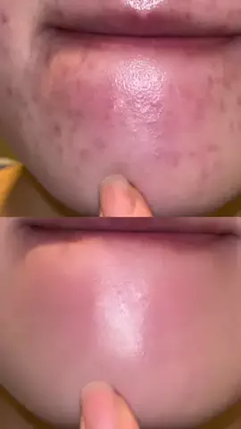 真っ白ちゃんのTikTok投稿