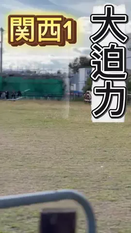 40代の主張のTikTok投稿