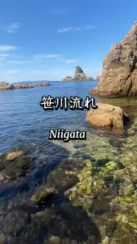 【越後】寄り道日和のTikTok投稿
