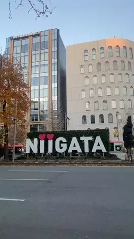 【越後】寄り道日和のTikTok投稿