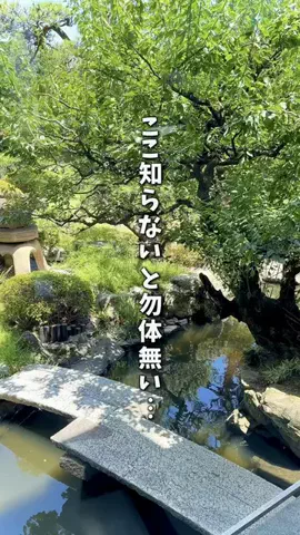 yuzuiro_gurumetabiのTikTok投稿