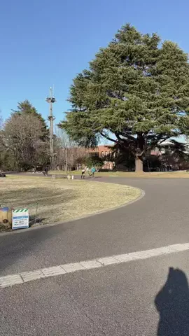 LICCAのTikTok投稿