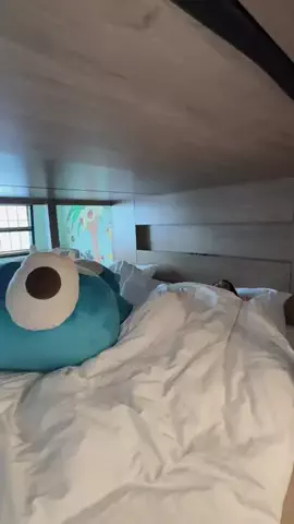 LICCAのTikTok投稿