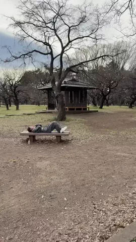 LICCAのTikTok投稿