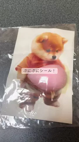 ごてんくすの日常🎀🫧のTikTok投稿