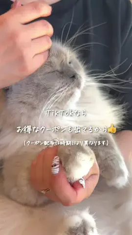 さとこのTikTok投稿