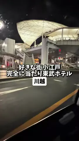 日本グルメのTikTok投稿