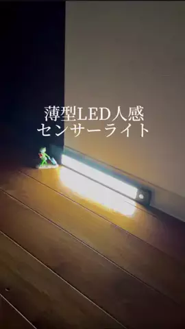 たけのTikTok投稿