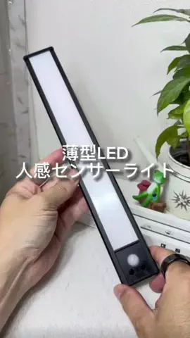 たけのTikTok投稿