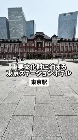 日本グルメのTikTok投稿