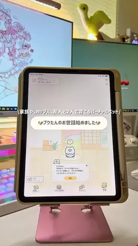 *⋆⸜  𝚔𝚒𝚖𝚒𝚌𝚑𝚊𝚗𝚗⸝⋆*のTikTok投稿