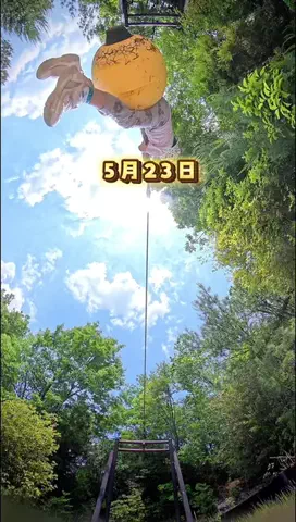 tabi_kids_kansaiのTikTok投稿