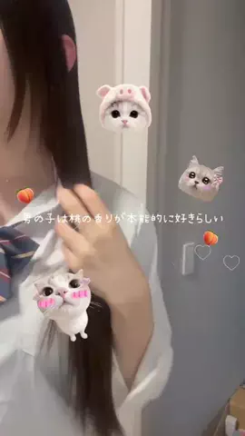 TAROのTikTok投稿