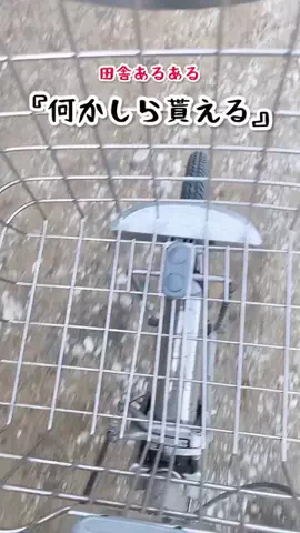 ぴんみんのTikTok投稿