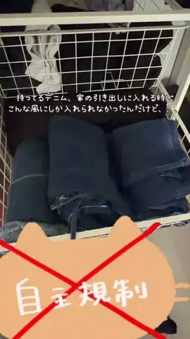 ねこみゆきのTikTok投稿