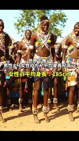 もふもふのTikTok投稿