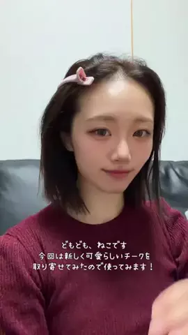 ねこみゆきのTikTok投稿