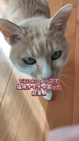 ピアス😼💫のTikTok投稿
