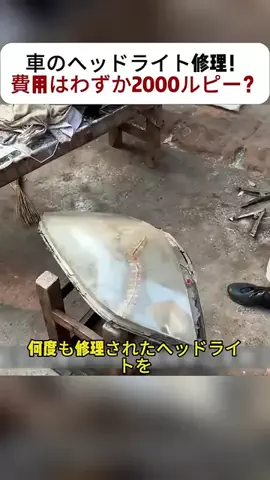 sunny 36のTikTok投稿