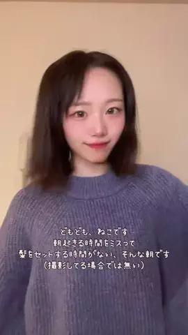 ねこみゆきのTikTok投稿