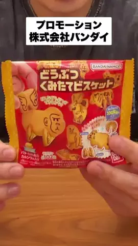 Fischer's-フィッシャーズ-のTikTok投稿
