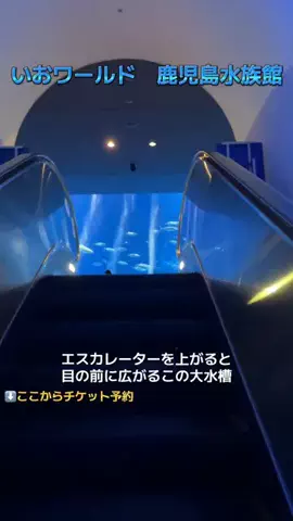 旅するひなたのTikTok投稿