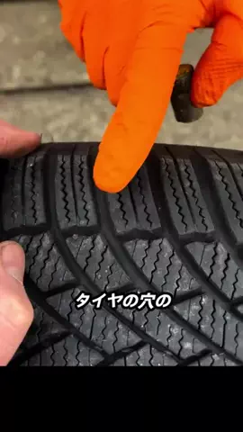 sunny 36のTikTok投稿