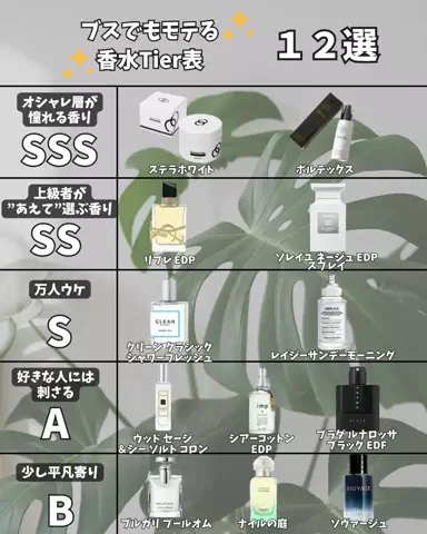 タップしたら激モテ確定のTikTok投稿