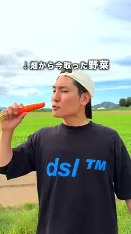 旅と北海道｜ROYのTikTok投稿