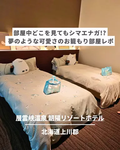 旅と北海道｜ROYのTikTok投稿