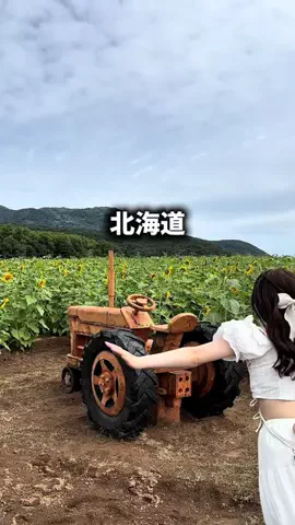 ユズレポ／北海道グルメ🎀🍴𓈒𓂂𓏸のTikTok投稿